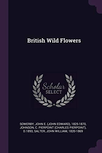 9781378765449: British Wild Flowers