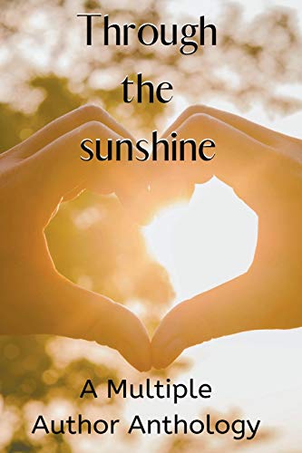 Stock image for Through the Sunshine for sale by Buchpark