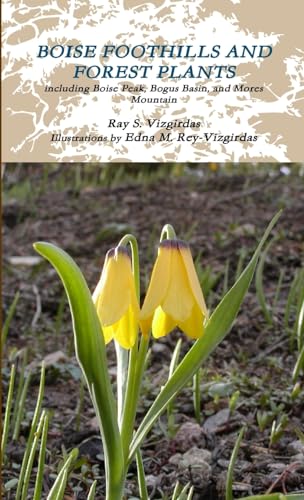 Stock image for BOISE FOOTHILLS AND FOREST PLANTS for sale by Idaho Youth Ranch Books