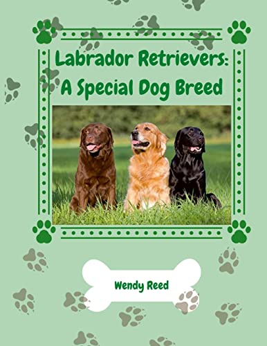 Stock image for Labrador Retrievers: A Special Dog Breed for sale by Lucky's Textbooks