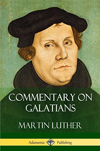 Beispielbild fr Commentary on Galatians zum Verkauf von PBShop.store US