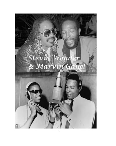 Beispielbild fr Stevie Wonder & Marvin Gaye! zum Verkauf von Hamelyn