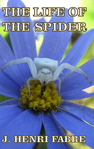 Beispielbild fr The Life of the Spider zum Verkauf von WorldofBooks