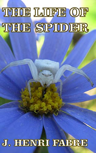 Stock image for The Life of the Spider for sale by WorldofBooks