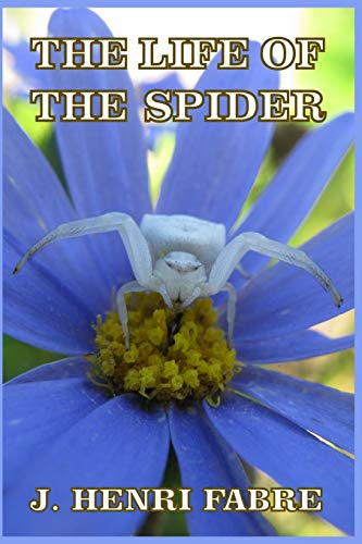 Beispielbild fr The Life of the Spider zum Verkauf von Buchpark