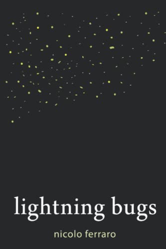 Beispielbild fr Lightning Bugs zum Verkauf von Goodwill Southern California