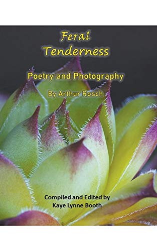 Imagen de archivo de Feral Tenderness a la venta por Lucky's Textbooks