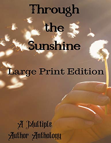 Stock image for Through the Sunshine Large Print for sale by Lucky's Textbooks