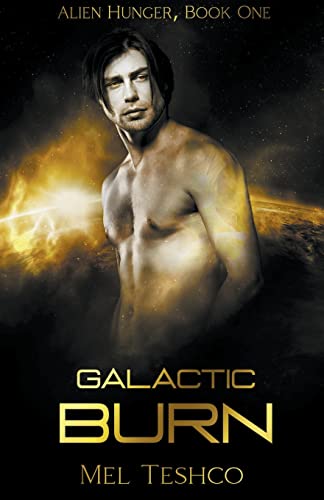 Stock image for Galactic Burn for sale by PBShop.store US