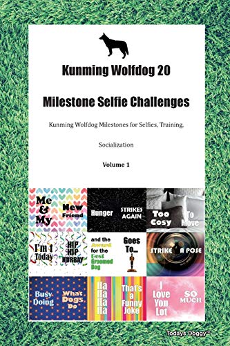 Beispielbild fr Kunming Wolfdog 20 Milestone Selfie Challenges Kunming Wolfdog Milestones for Selfies, Training, Socialization Volume 1 zum Verkauf von Buchpark