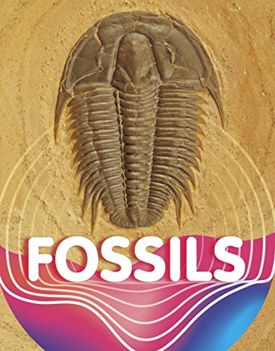 Beispielbild fr Fossils zum Verkauf von Blackwell's