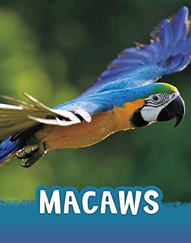Beispielbild fr Macaws (Animals) zum Verkauf von WorldofBooks
