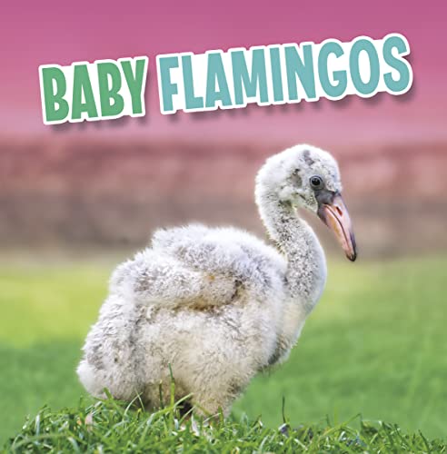 Beispielbild fr Baby Flamingos zum Verkauf von Smartbuy