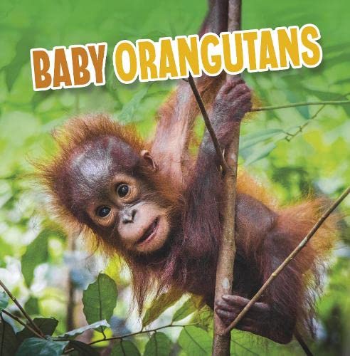 Beispielbild fr Baby Orangutans zum Verkauf von Smartbuy