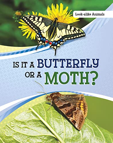 Beispielbild fr Is It a Butterfly or a Moth? (Look-Alike Animals) zum Verkauf von WorldofBooks