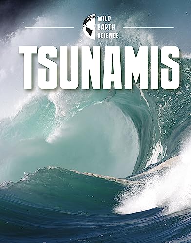 Beispielbild fr Tsunamis zum Verkauf von GreatBookPrices