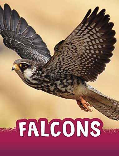 Beispielbild fr Falcons zum Verkauf von Blackwell's