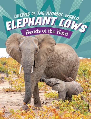 Beispielbild fr Elephant Cows : Heads of the Herd zum Verkauf von Smartbuy