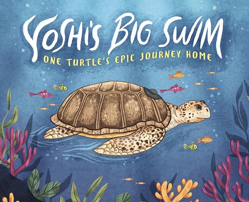 9781398250406: Yoshi's Big Swim: One Turtle's Epic Journey Home