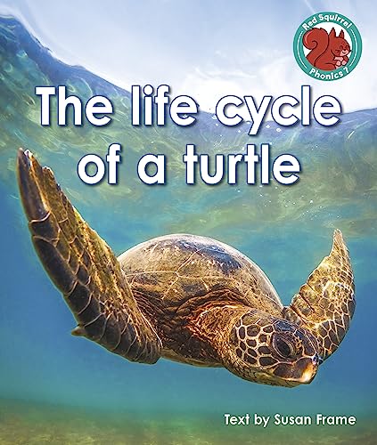 Beispielbild fr The Life Cycle of a Turtle zum Verkauf von Blackwell's