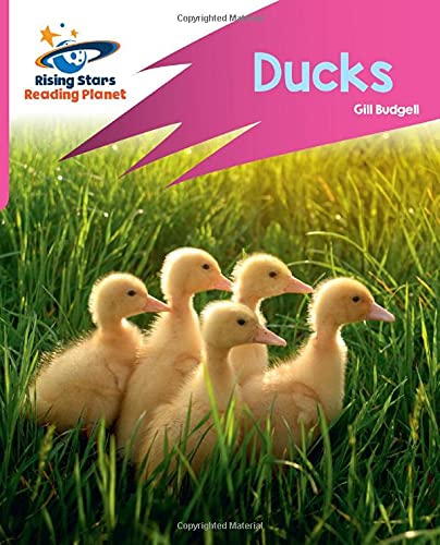 Stock image for Ducks for sale by Blackwell's