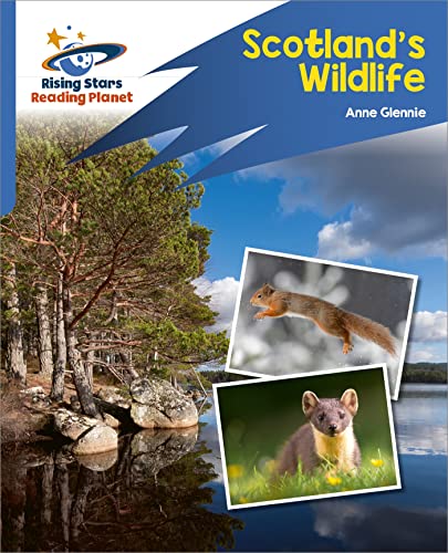 Stock image for Scotland's Wildlife for sale by Blackwell's