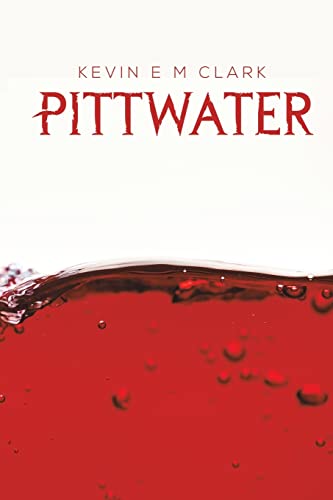 Beispielbild fr Pittwater zum Verkauf von WorldofBooks