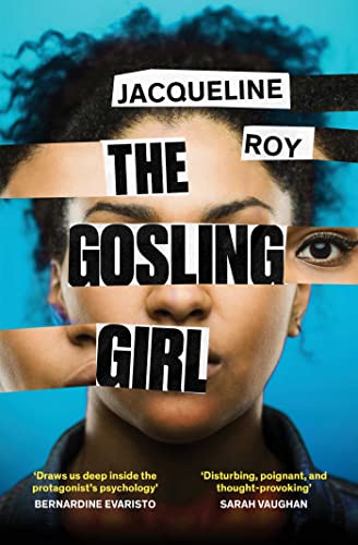 9781398504240: The Gosling Girl