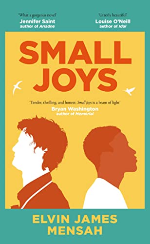 Stock image for Small Joys: A Buzzfeed 'Amazing New Book You Need to Read ASAP' for sale by WorldofBooks