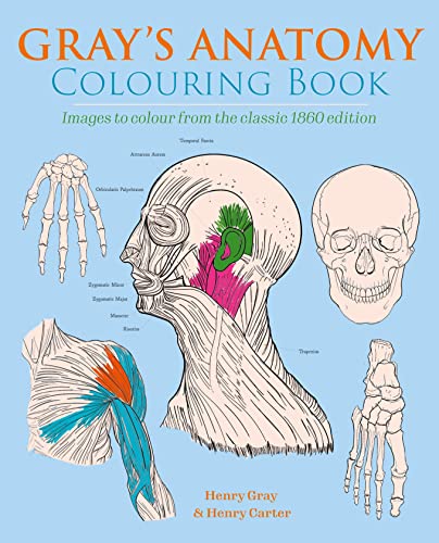 Beispielbild fr Gray's Anatomy Colouring Book zum Verkauf von Blackwell's