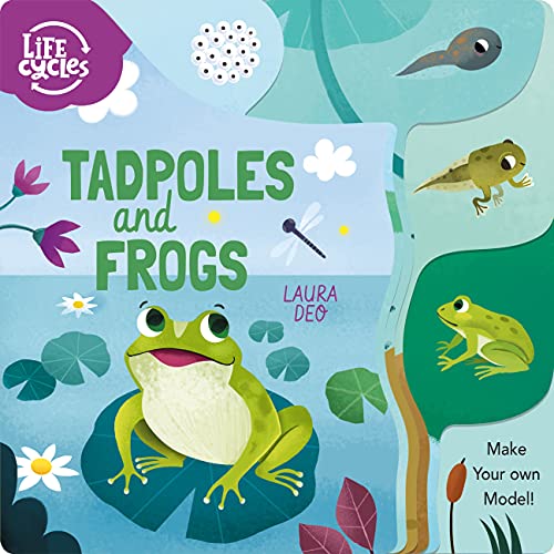 Stock image for Life Cycles: Tadpoles and Frogs: Make Your Own Model! (Life Cycles, 2) for sale by GF Books, Inc.