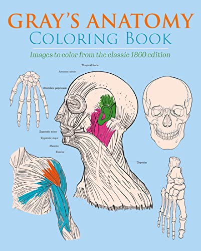 Stock image for Gray's Anatomy Coloring Book: Images to Color from the Classic 1860 Edition (Sirius Creative Coloring) [Paperback] Gray, Henry; Carter, Henry and Carroll, Chellie for sale by Lakeside Books