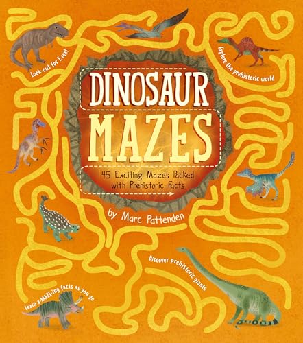 Stock image for Dinosaur Mazes: 45 Exciting Mazes Packed with Prehistoric Facts (Arcturus Fact-Packed Mazes) for sale by Half Price Books Inc.