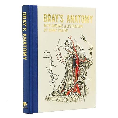 Gray's Anatomy : With Original Illustrations by Henry Carter - Henry Gray