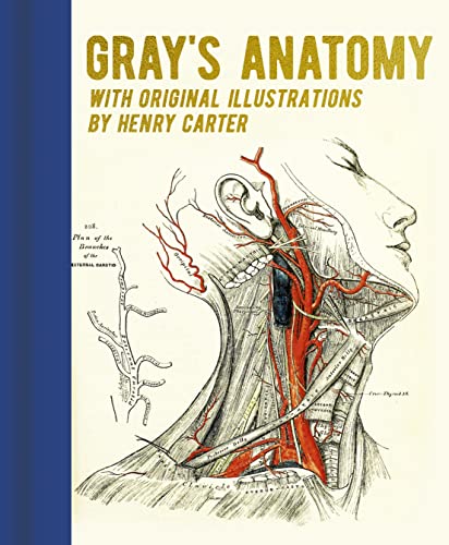 Stock image for Gray's Anatomy: With Original Illustrations by Henry Carter (Arcturus Gilded Classics) for sale by Half Price Books Inc.
