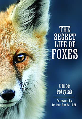 Beispielbild fr The Secret Life of Foxes zum Verkauf von AHA-BUCH GmbH