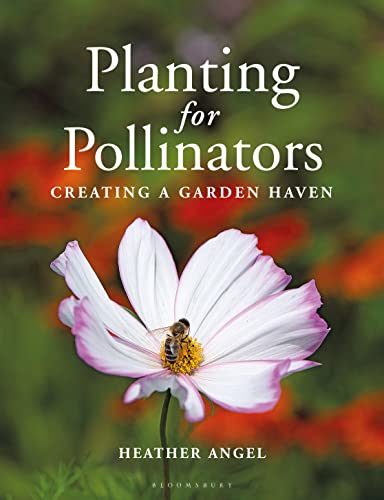 9781399403023: Planting for Pollinators: Creating a Garden Haven