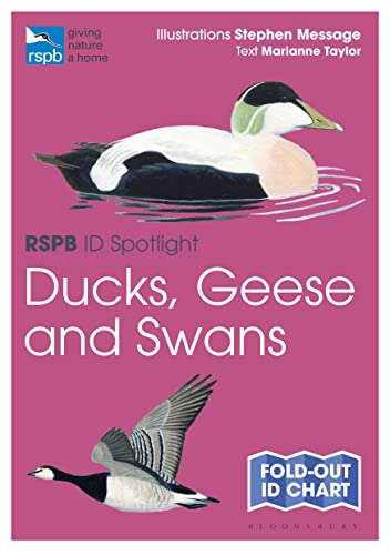 Stock image for RSPB ID Spotlight - Ducks, Geese and Swans for sale by PBShop.store US