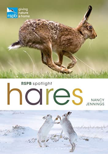 Stock image for Rspb Spotlight Hares for sale by GreatBookPrices