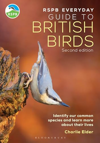 Beispielbild fr The RSPB Everyday Guide to British Birds: Identify our common species and learn more about their lives zum Verkauf von WorldofBooks