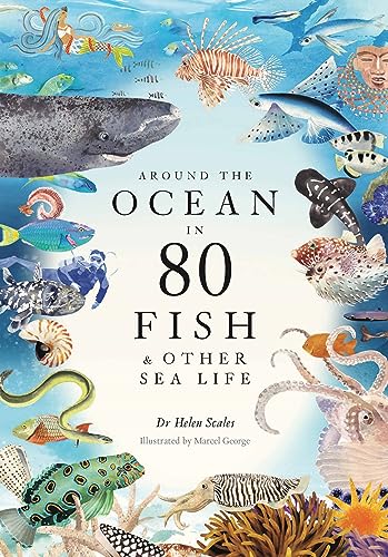 Beispielbild fr Around the Ocean in 80 Fish zum Verkauf von Blackwell's