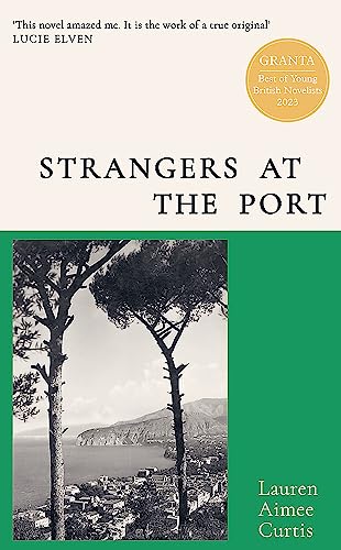 Imagen de archivo de Strangers at the Port: From one of Grantas Best of Young British Novelists a la venta por WorldofBooks