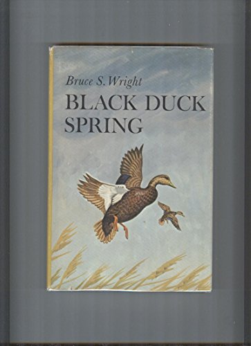 Beispielbild fr Black Duck Spring zum Verkauf von Best and Fastest Books