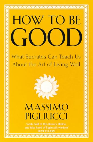 

How To Be Good (Paperback)