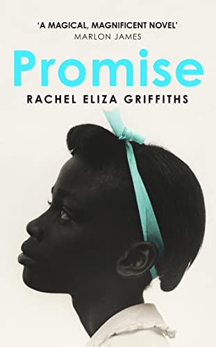 Stock image for Promise for sale by WorldofBooks
