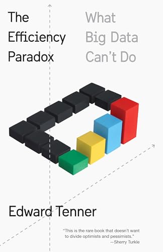 Beispielbild fr The Efficiency Paradox: What Big Data Can't Do zum Verkauf von Wonder Book