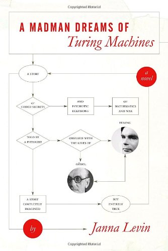 9781400040308: A Madman Dreams of Turing Machines