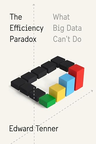 Imagen de archivo de The Efficiency Paradox: What Big Data Can't Do a la venta por ZBK Books