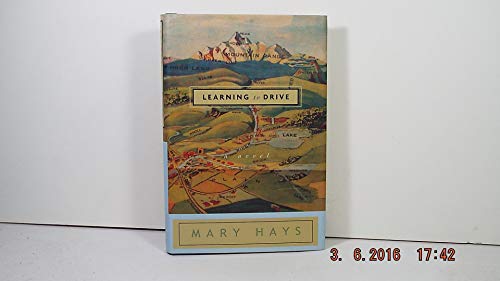 Beispielbild fr Learning to Drive: A Novel zum Verkauf von SecondSale