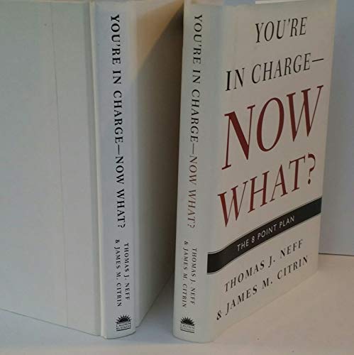 9781400048656: You're in Charge, Now What?: The 8 Point Plan